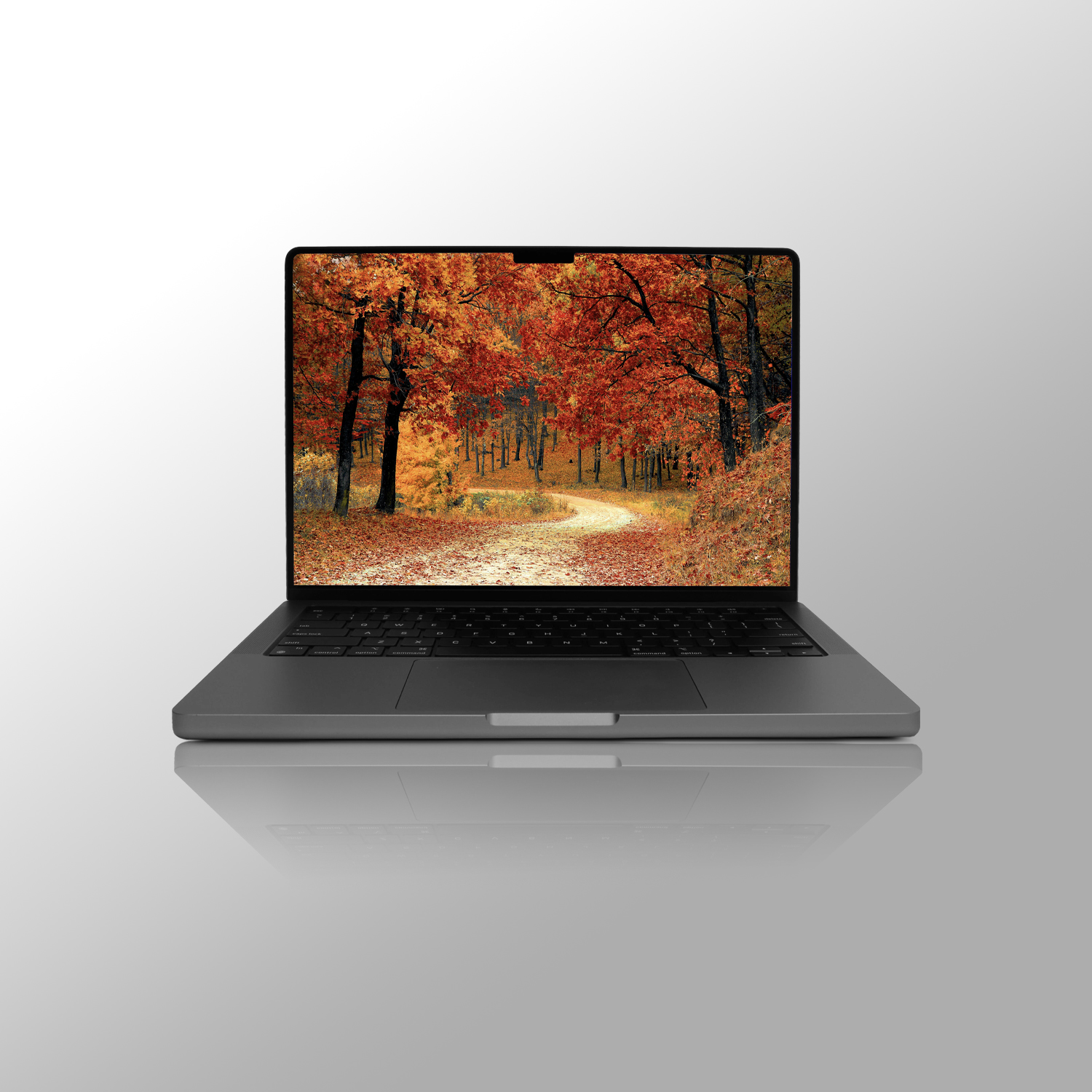 Apple MacBook